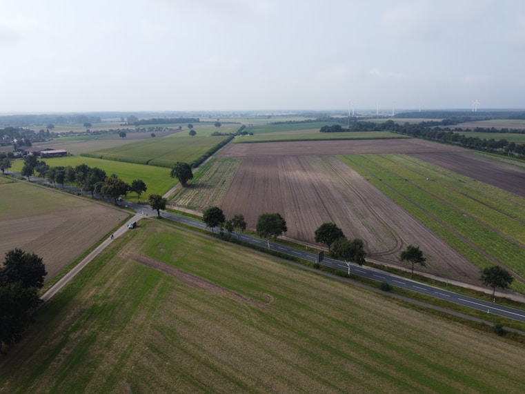 Elurikkus ja maakasutus