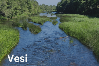 Jõgi, ümbritsetud metsaga